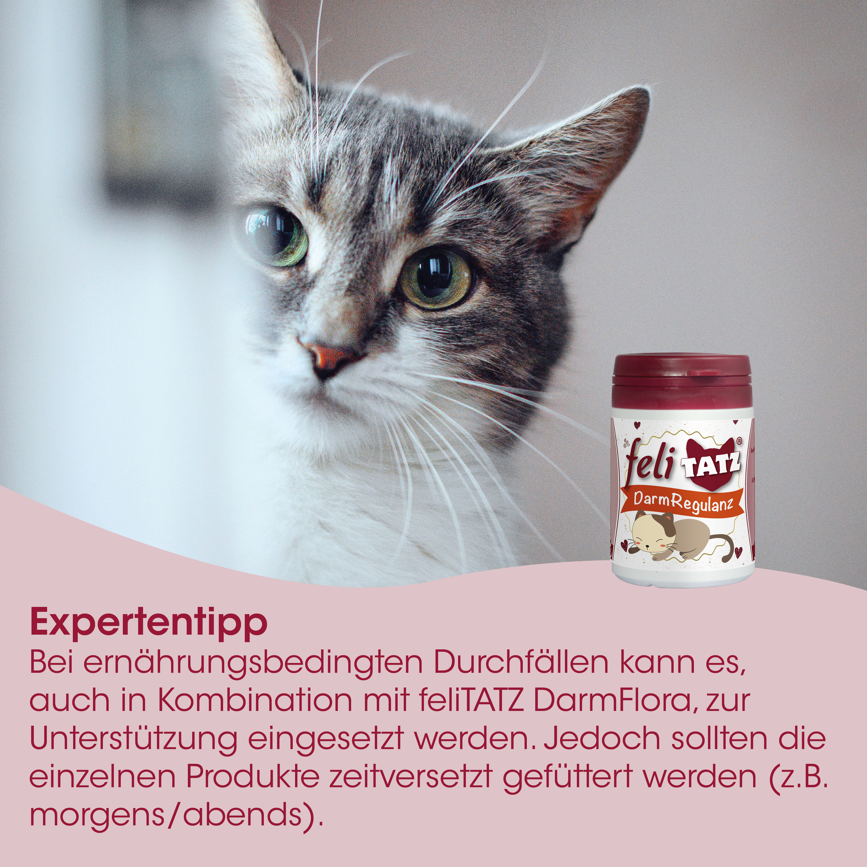 feliTATZ GutRegulator 50 g