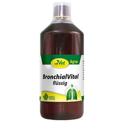 BronchialVital liquid 1 L