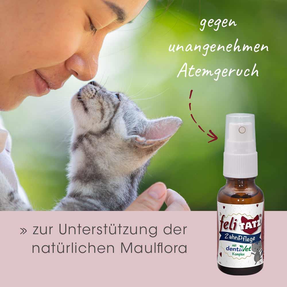 feliTATZ dental care 20ml