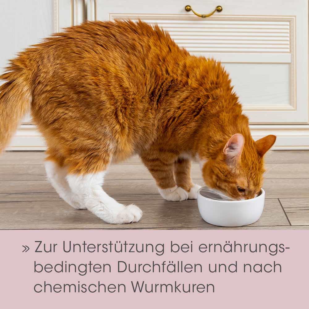 feliTATZ GutRegulator 50 g