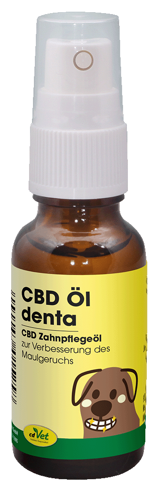CBD Oil denta 20 ml