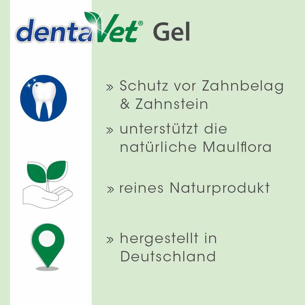 gel, zahnpflege, zahnpasta, zahnstein, naturprodukt