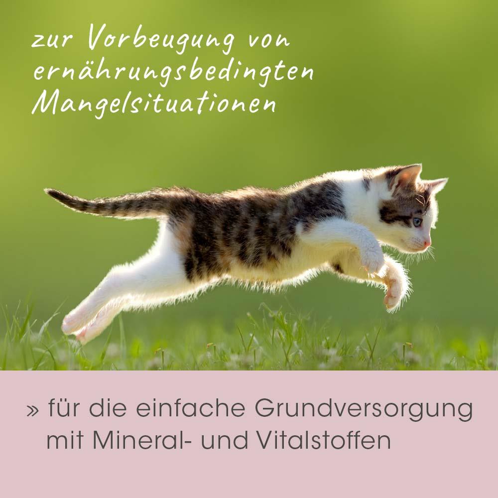 feliTATZ MineralPower 60 g