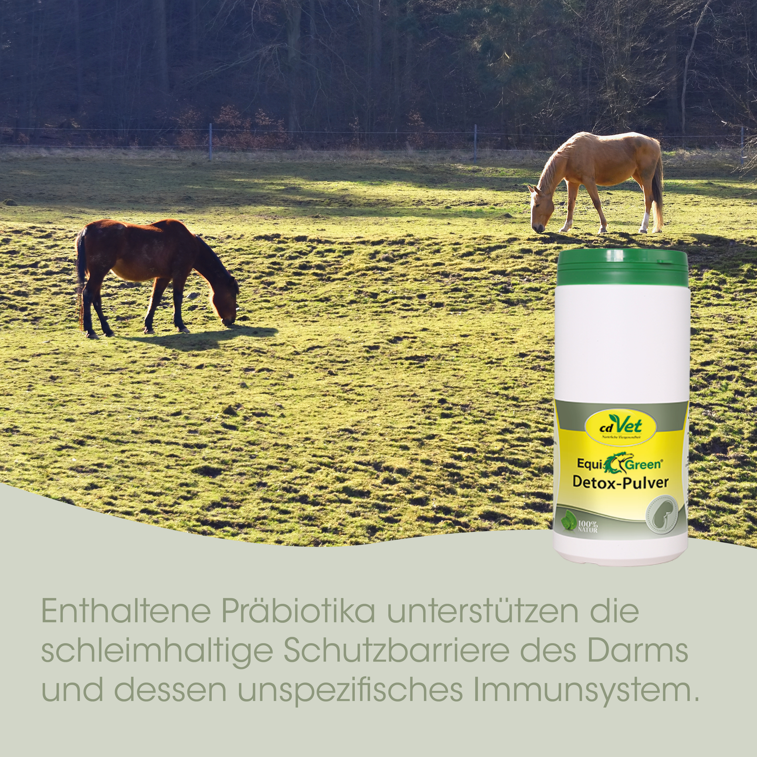 EquiGreen Detox-Powder 2 kg