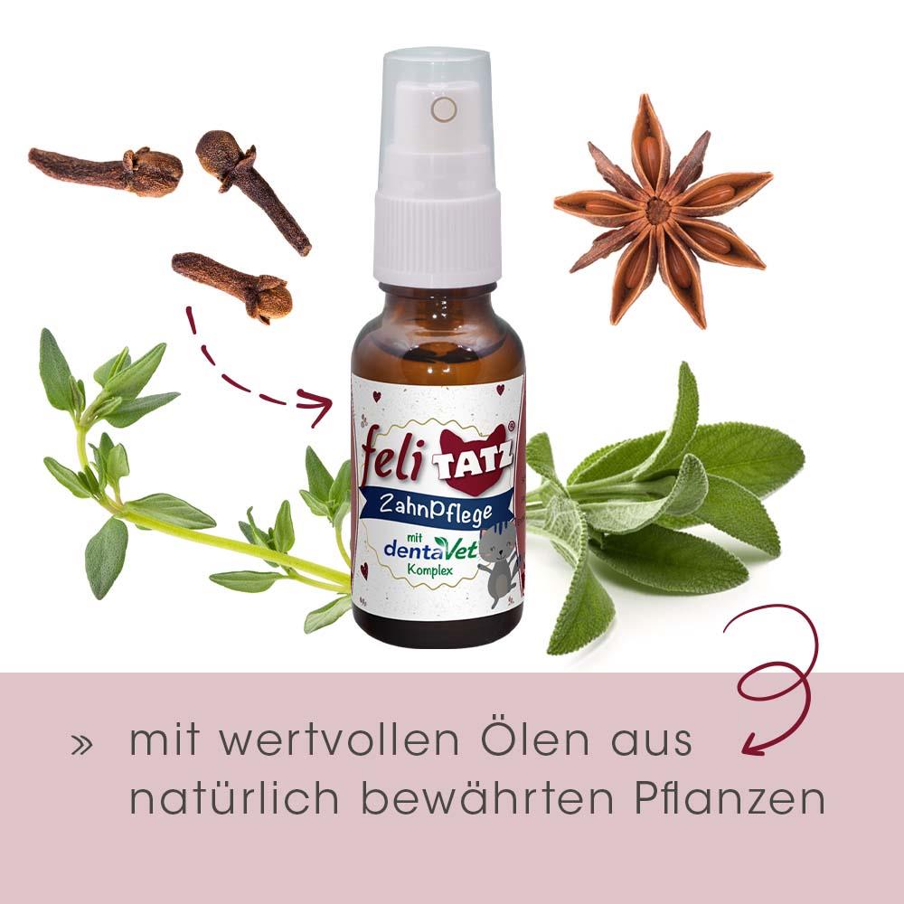 feliTATZ dental care 20ml