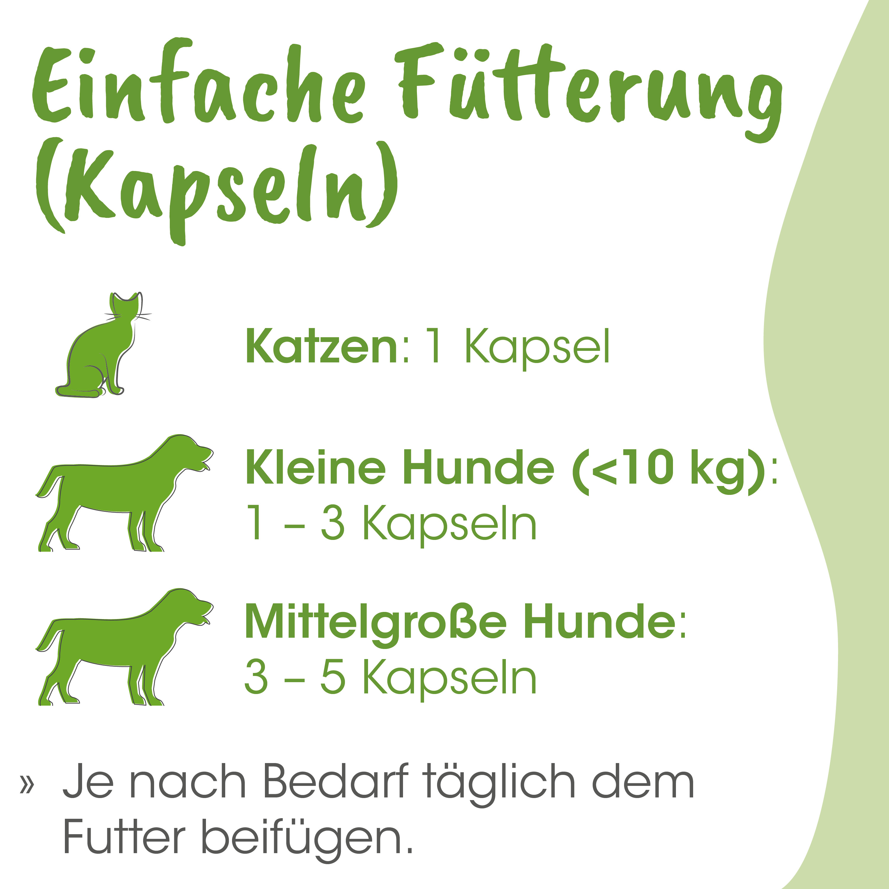 Katzenfutter, Katzenkapseln, Katzenfutter Dosierung, Katzennahrung, Kapseln