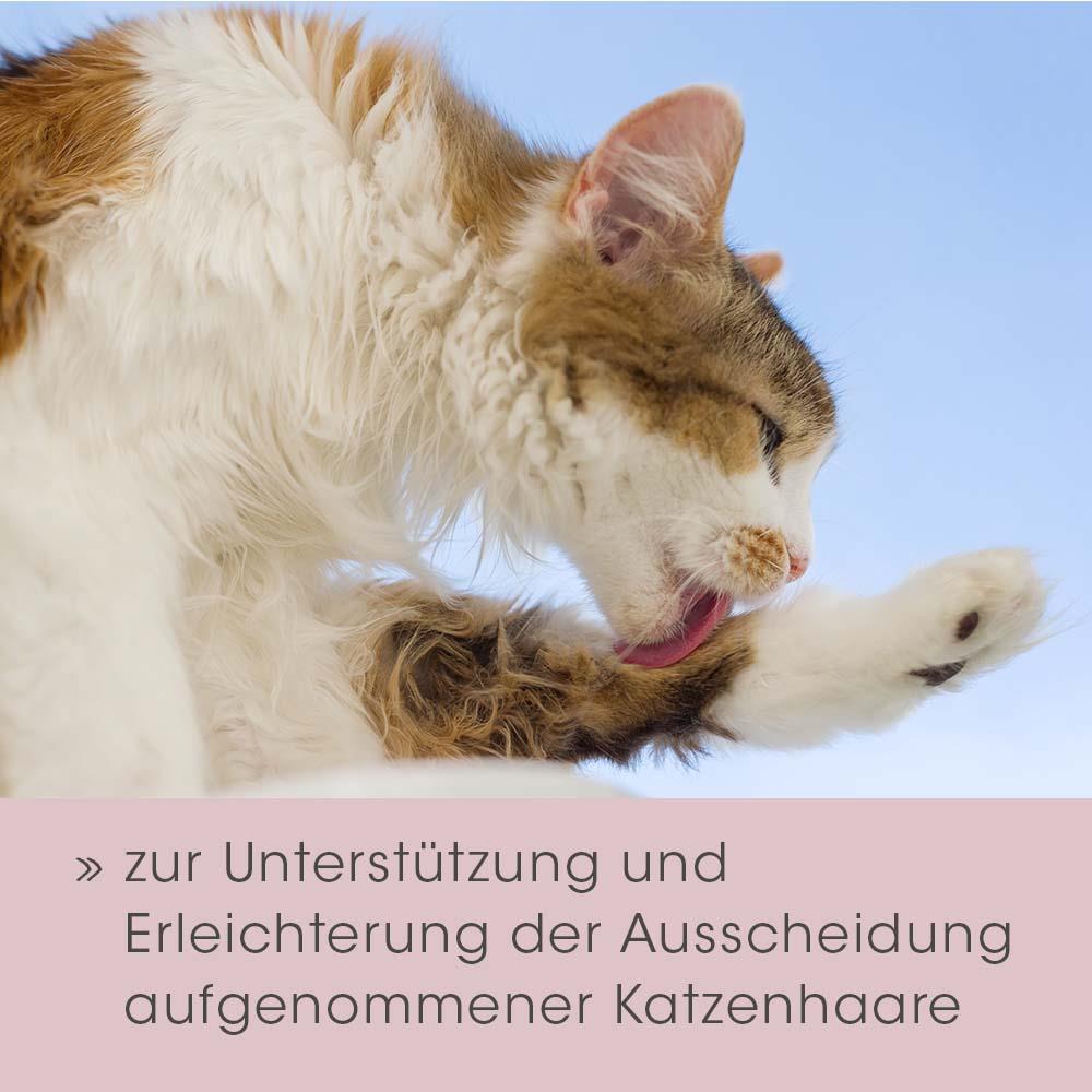 feliTATZ Organic Hairball Oil 50 ml