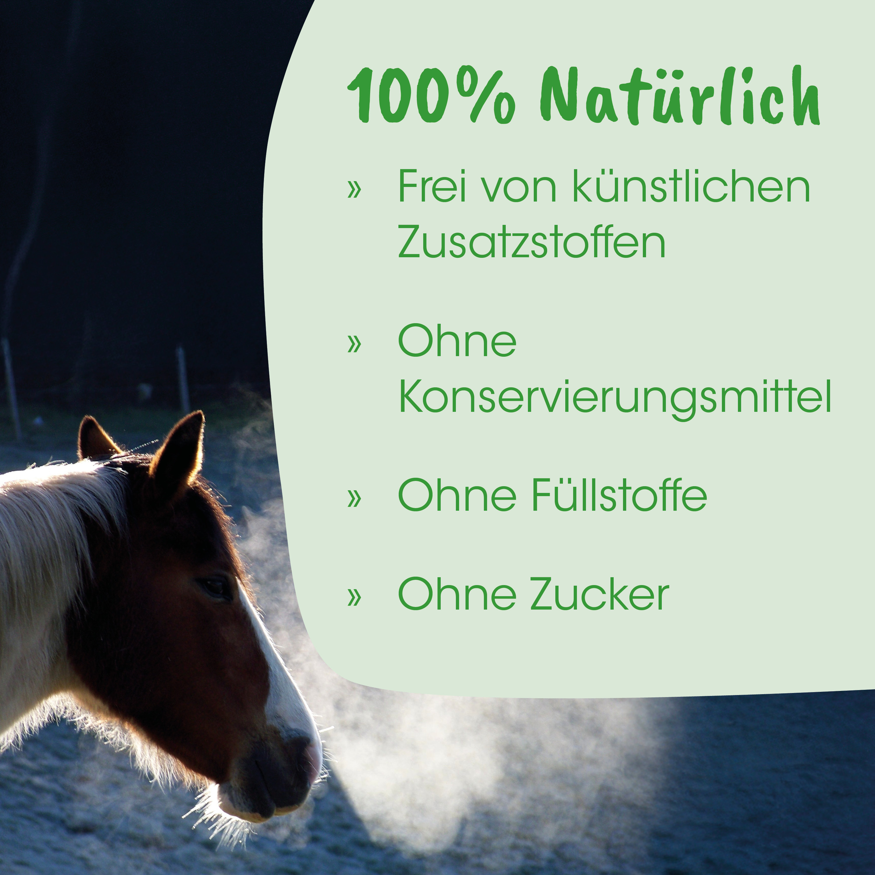 Pferd, Pferdekopf, Natur, Pferdefell, Schnee/Hauch