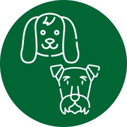 Puppies, Breeding & Age