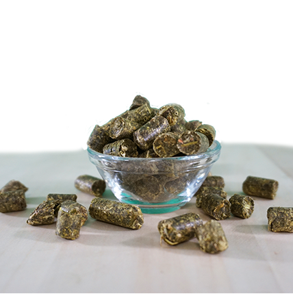 EquiGreen Organic HerbalGreen Treats 2,6 kg