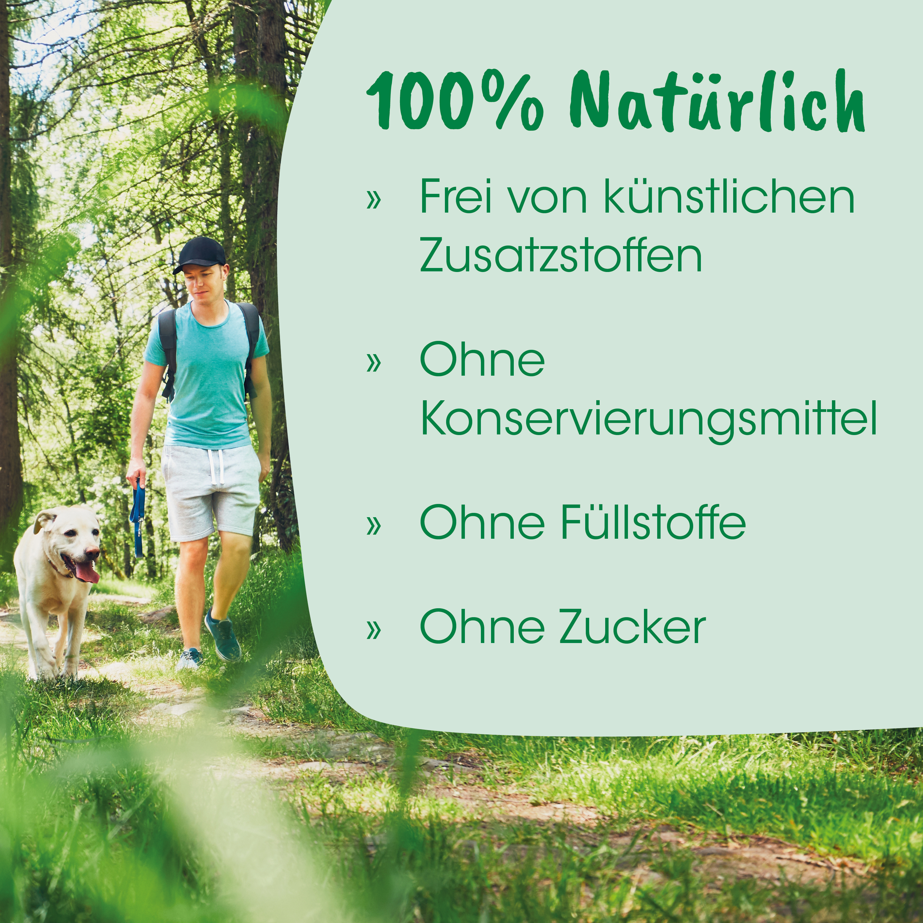 outdoor, Mann mit Hund, Wandern, Rucksack, grünes Hemd
