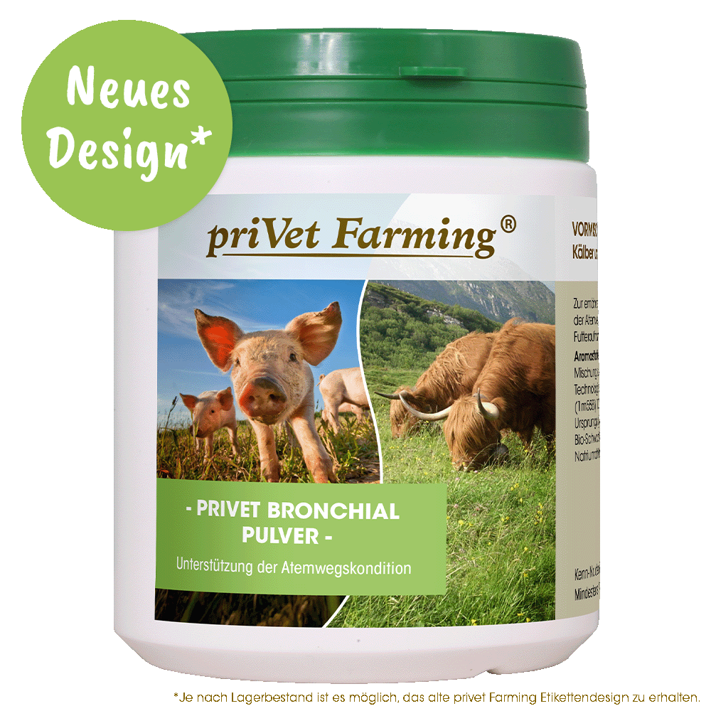 privet Bronchial Powder 450 g