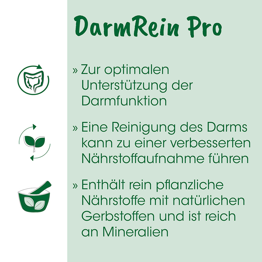 pflanzlich, naturstoffe, nahrungsergänzung, darmgesundheit, grünes design