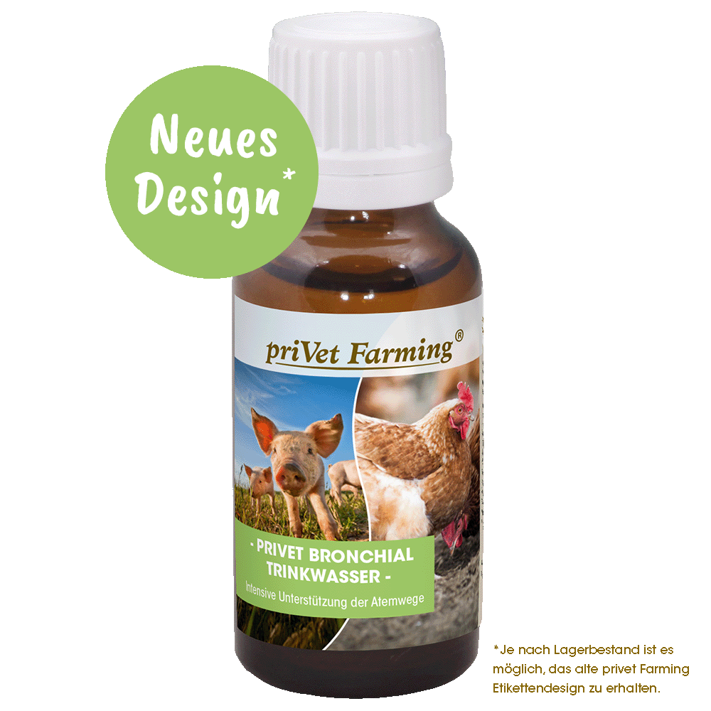 privet Bronchial Drinking Water 20 ml
