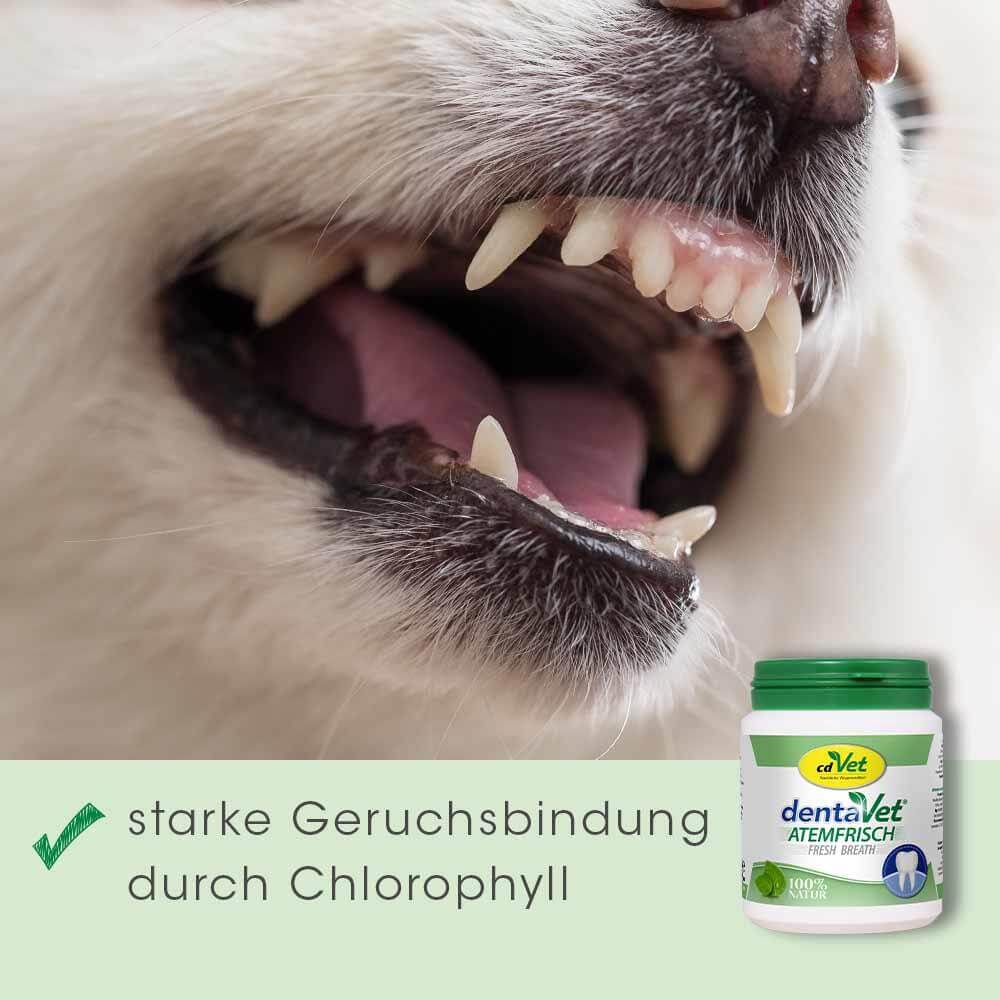 dentaVet Fresh Breath 100 g