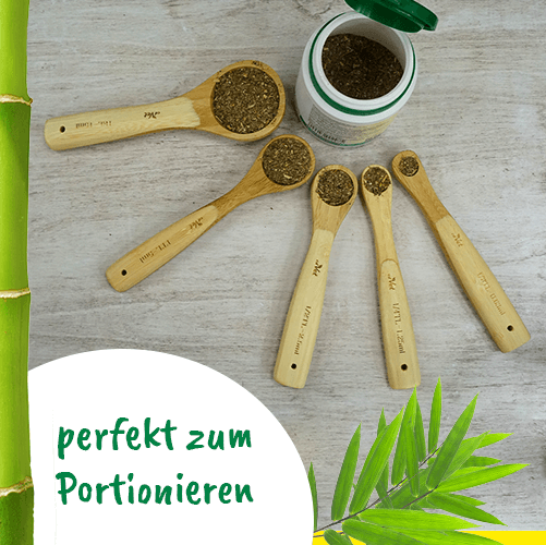 Bambu Dosing Spoon Set