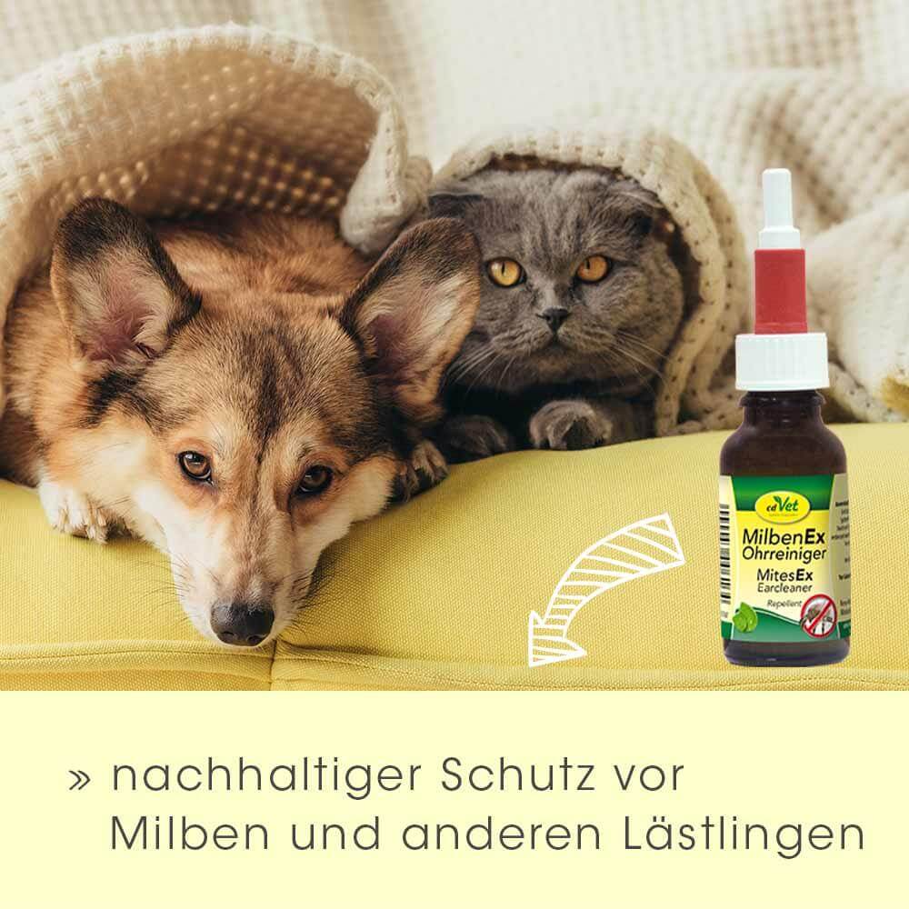 MitesEx Ear Cleaner 50 ml