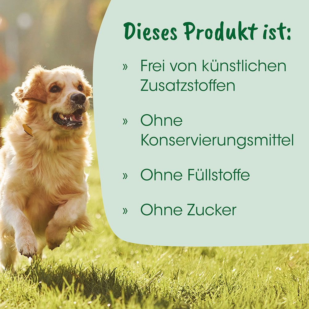 Hund, Golden Retriever, Tierfoto, Gras, Spiel