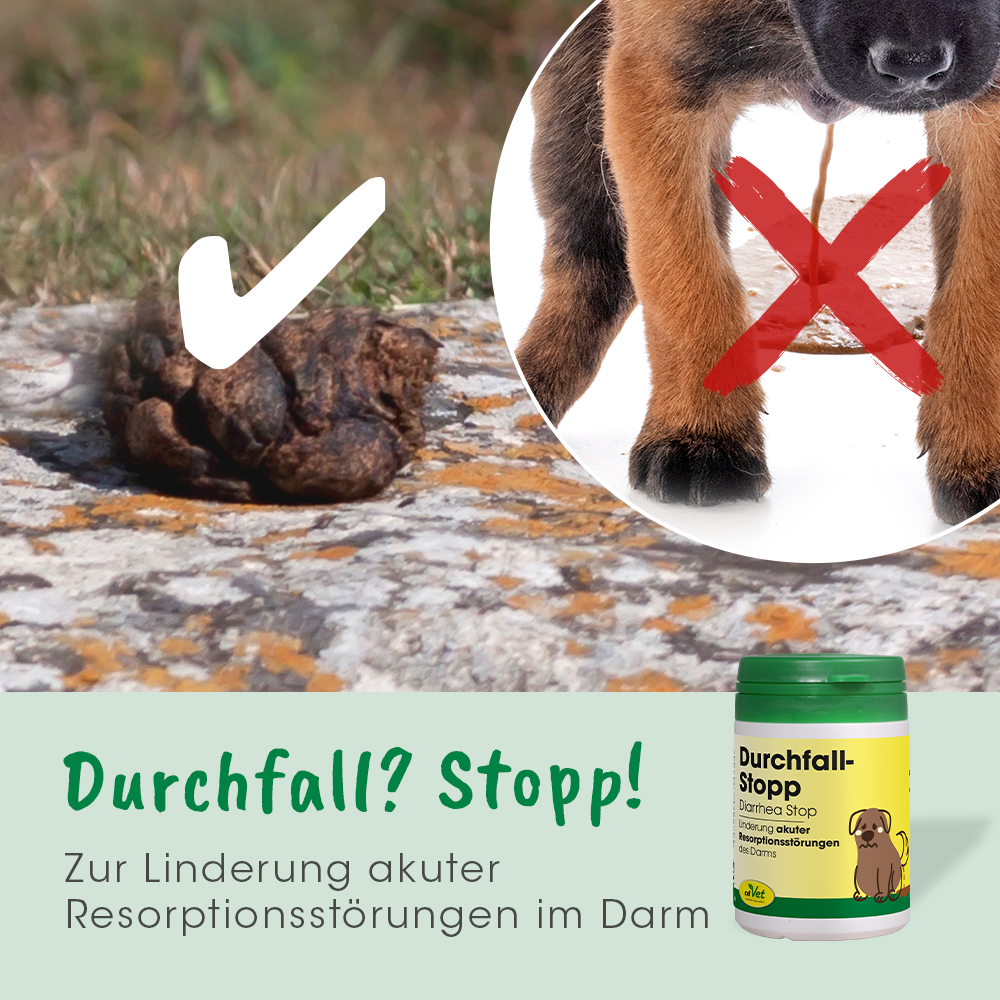 DiarrheaStop 50 g