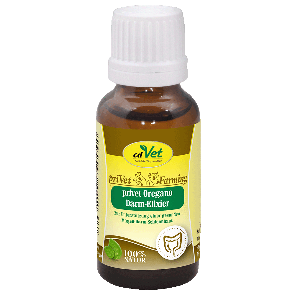 priVet Oregano Gut Elixir 20 ml