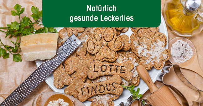 Essen, Süßigkeiten, Kräuter, Pflanze, Essen, Süßigkeiten, Kräuter, Pflanze