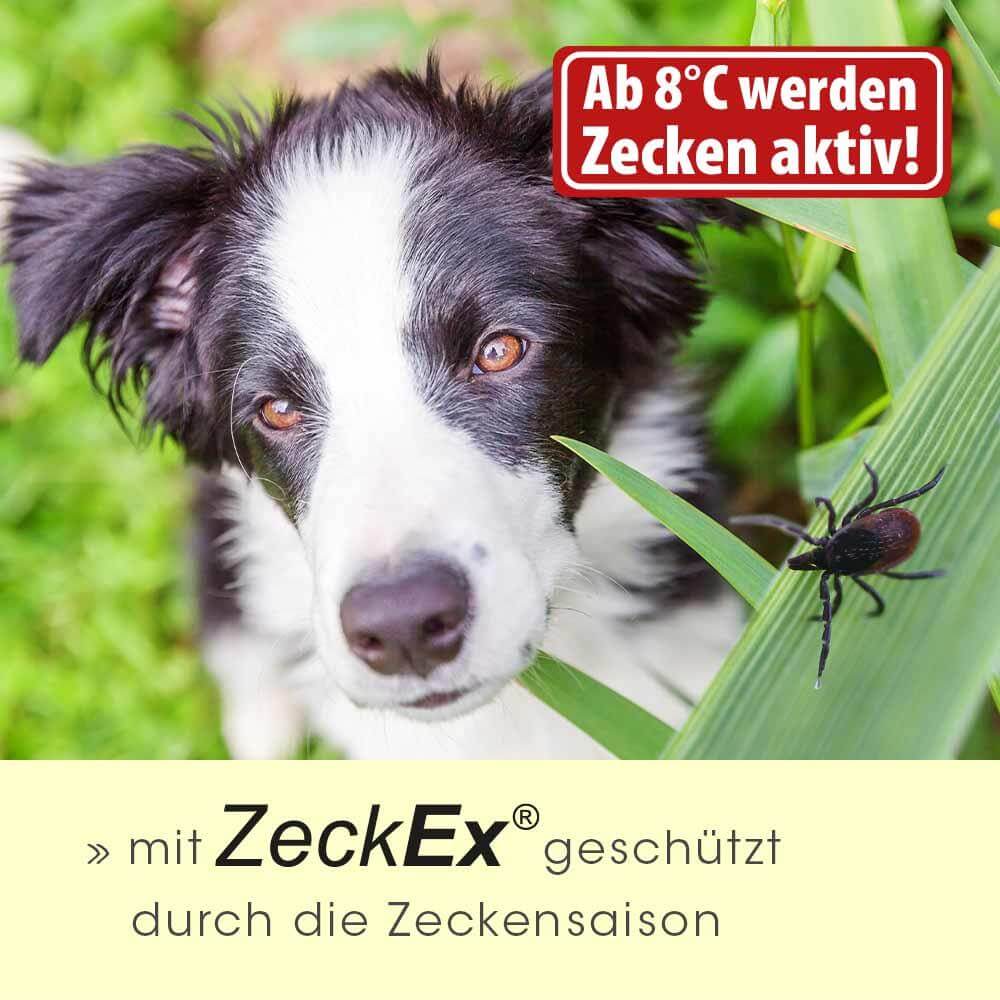 TickEx 50 ml