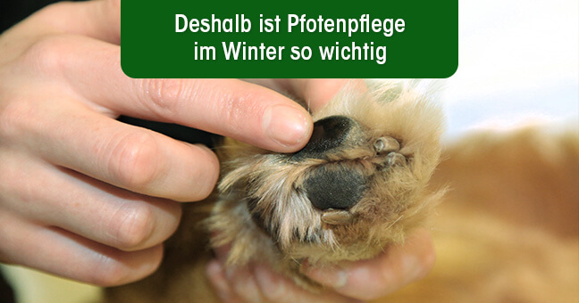 Körperteil, Finger, Hand, Person