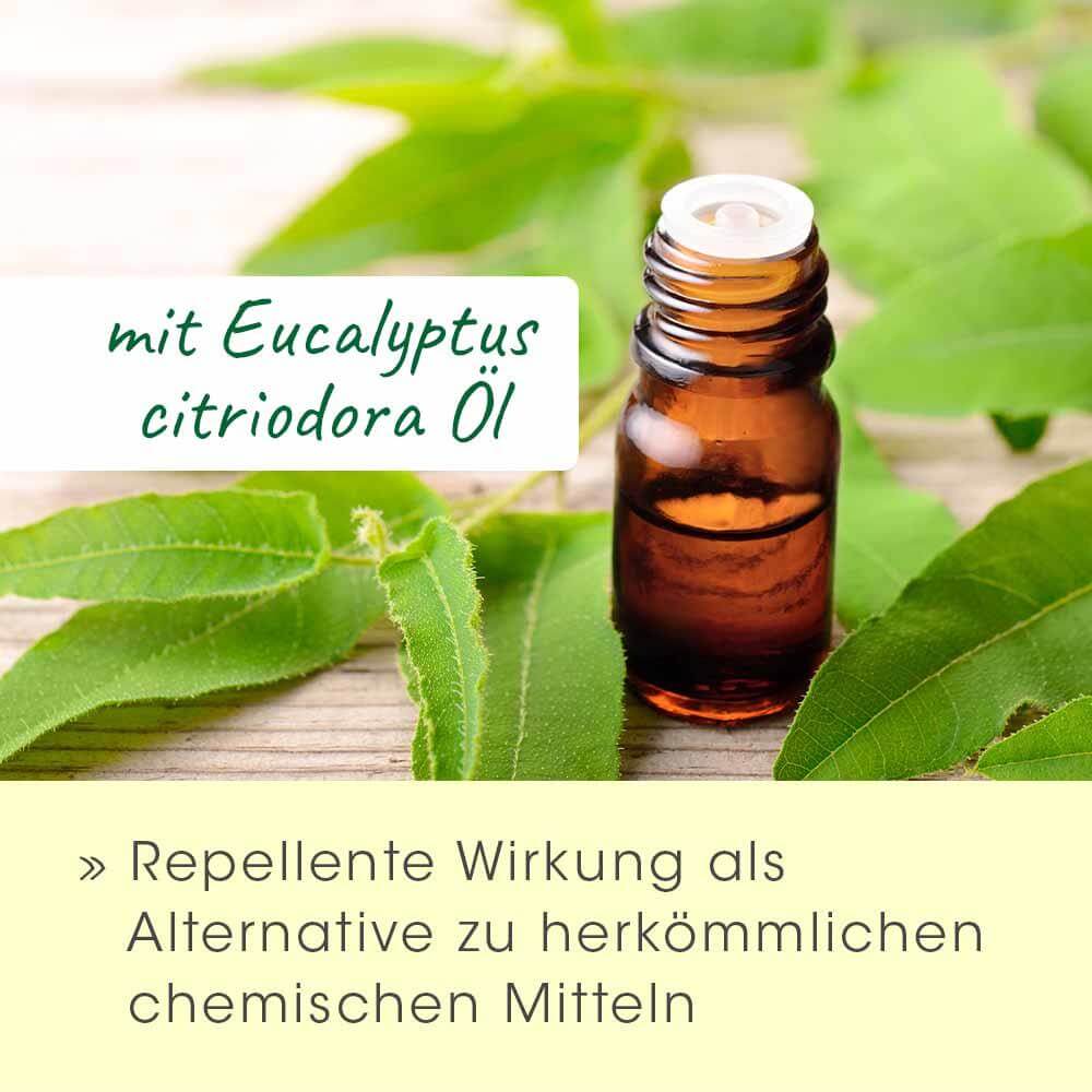 MitesEx Ear Cleaner 50 ml
