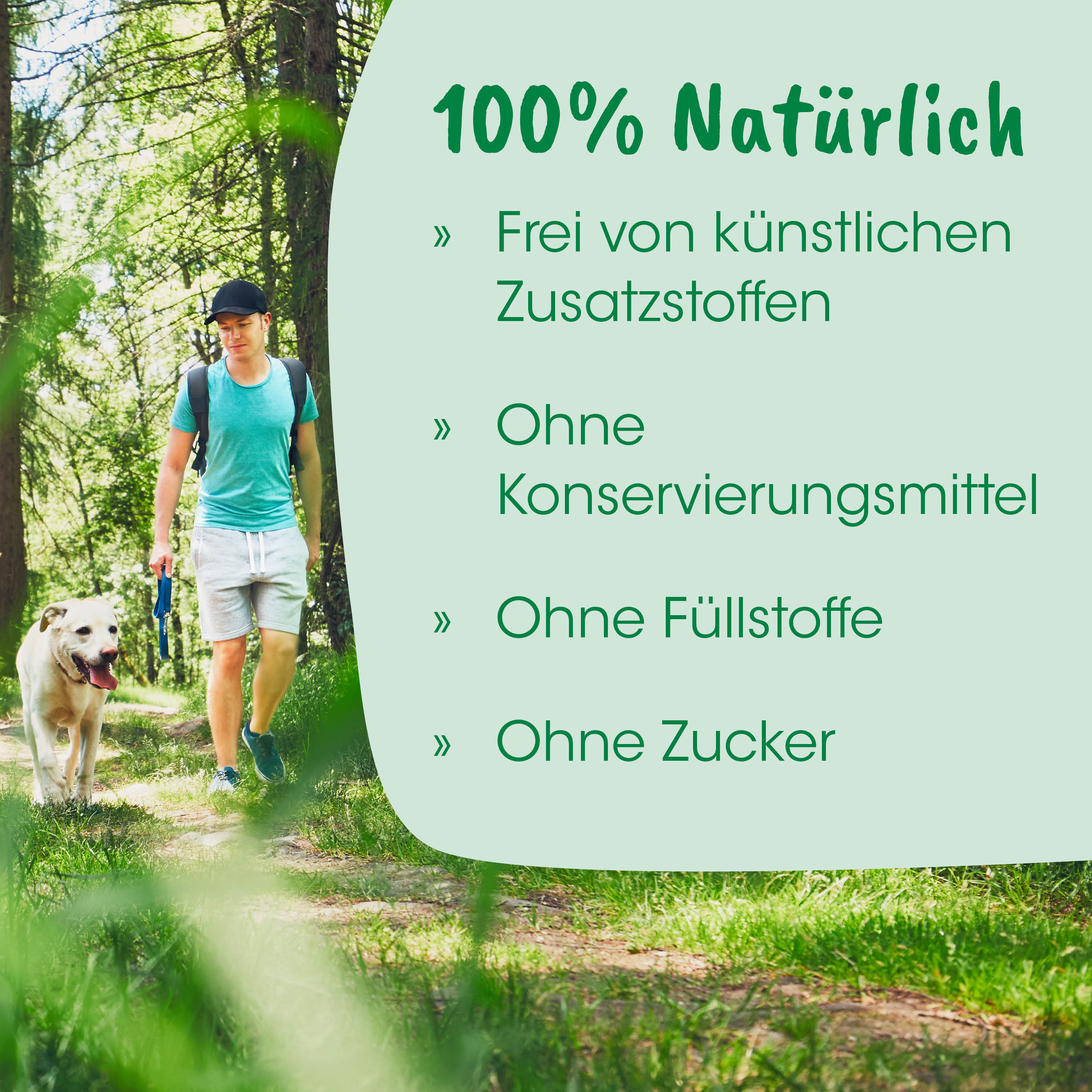 Outdoor, Wandern, Hund, Mann mit Hund, Waldweg