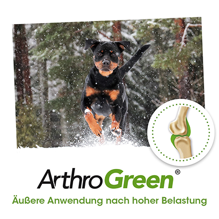ArthroGreen Joint Fluid 200 ml