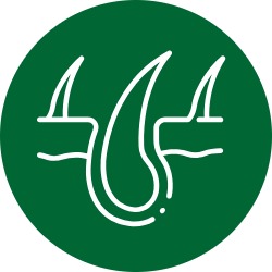 Care & Hygiene