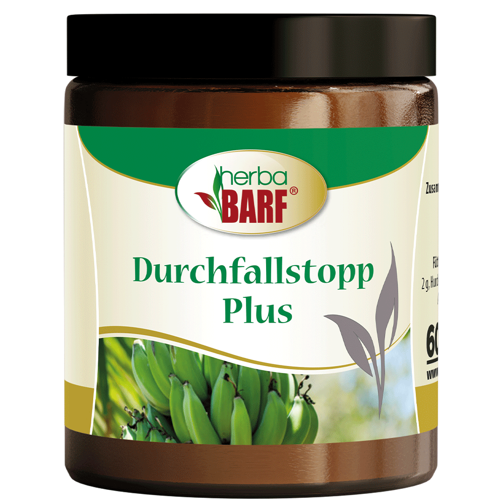 Essen, Banane, Obst, Pflanze, Produzieren