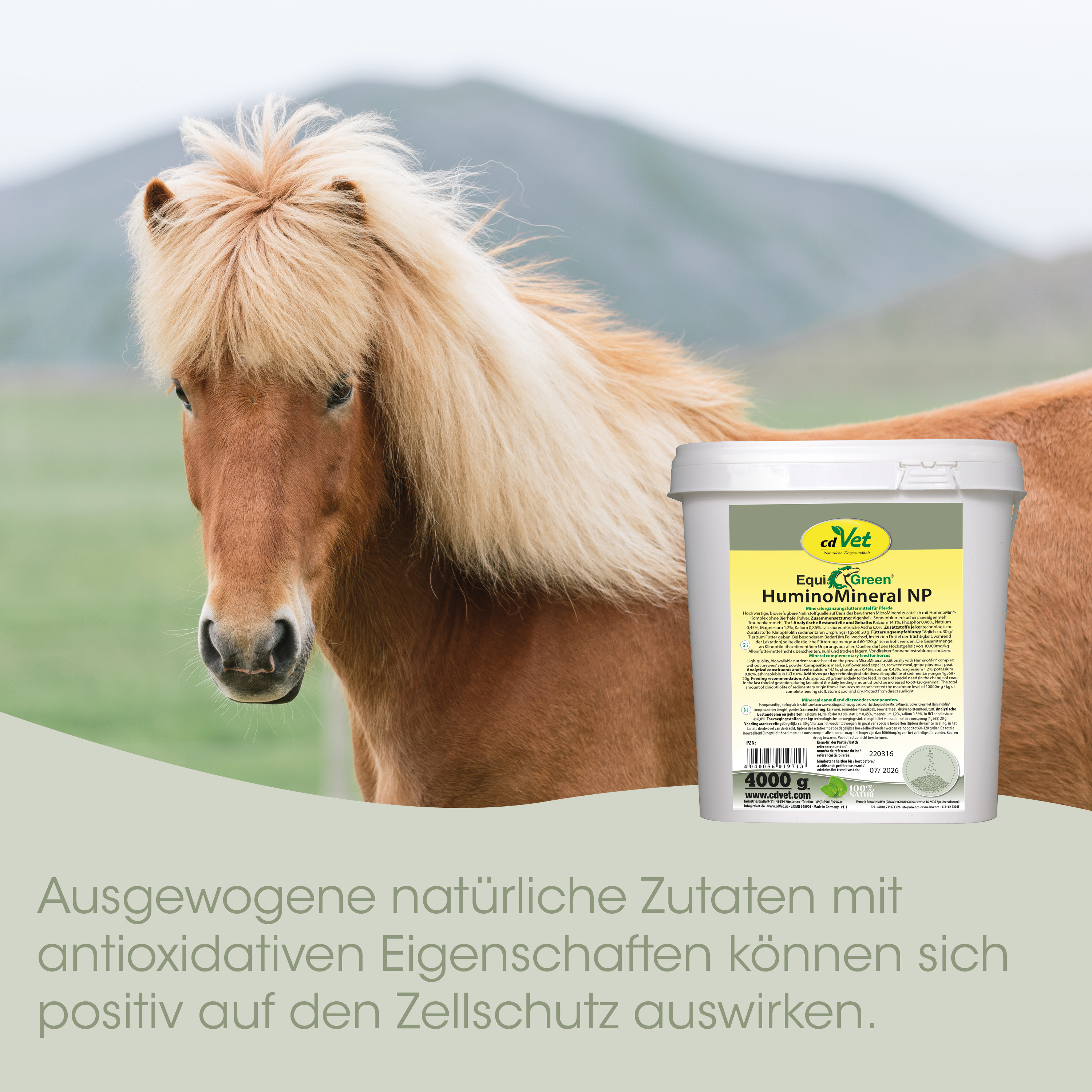Pferd, Hengst, Fell, Mähne, Tiernahrung