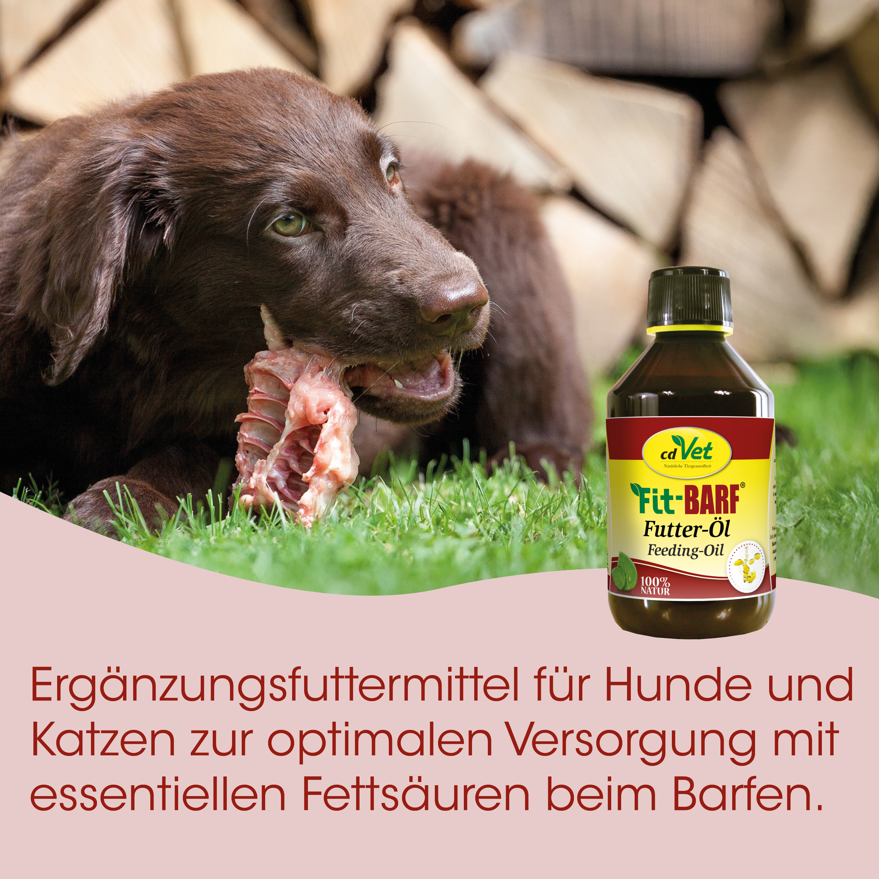 Hund, Futter, Futteröl, Kaufleisch, Ergänzungsfuttermittel