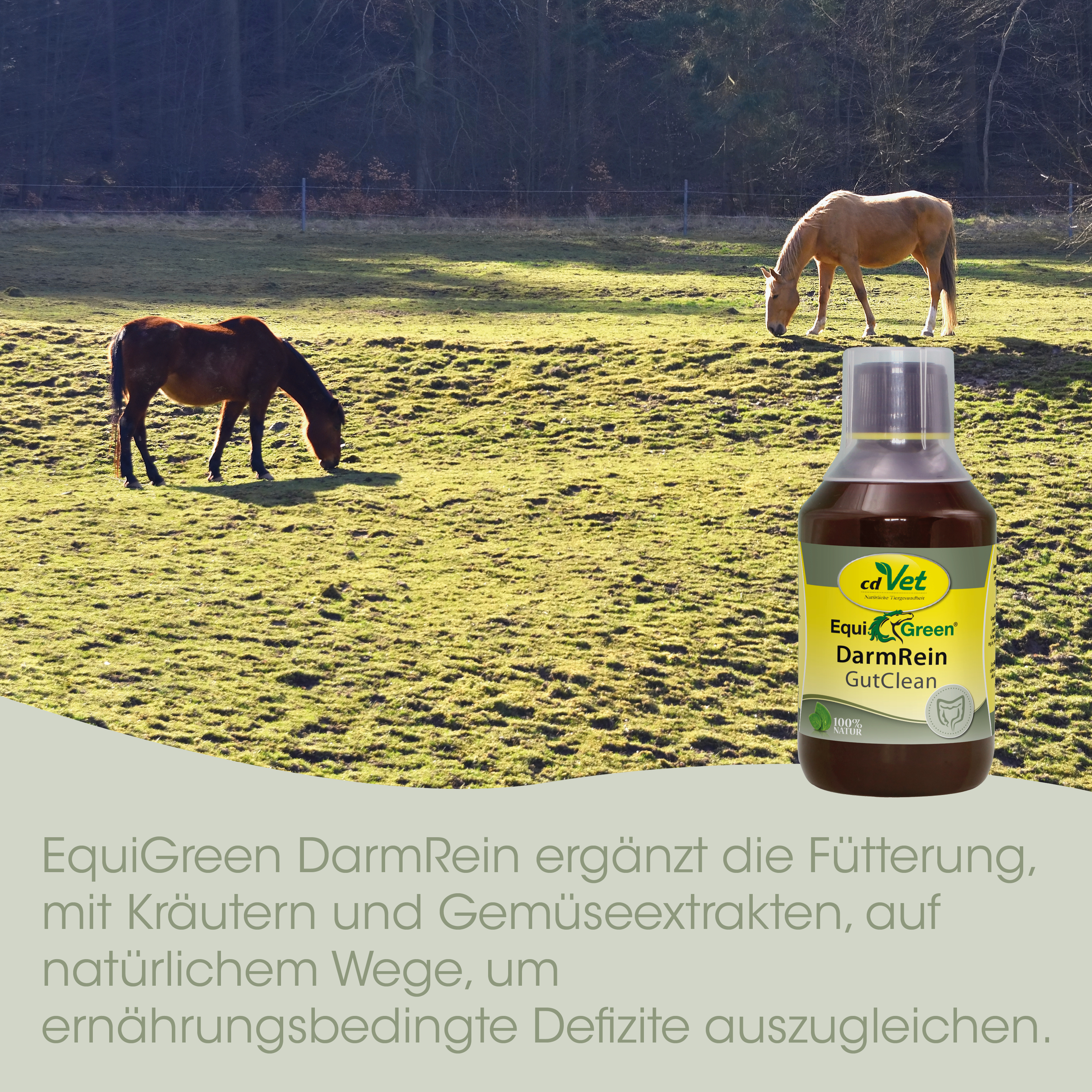 EquiGreen GutClean Powder 300 g