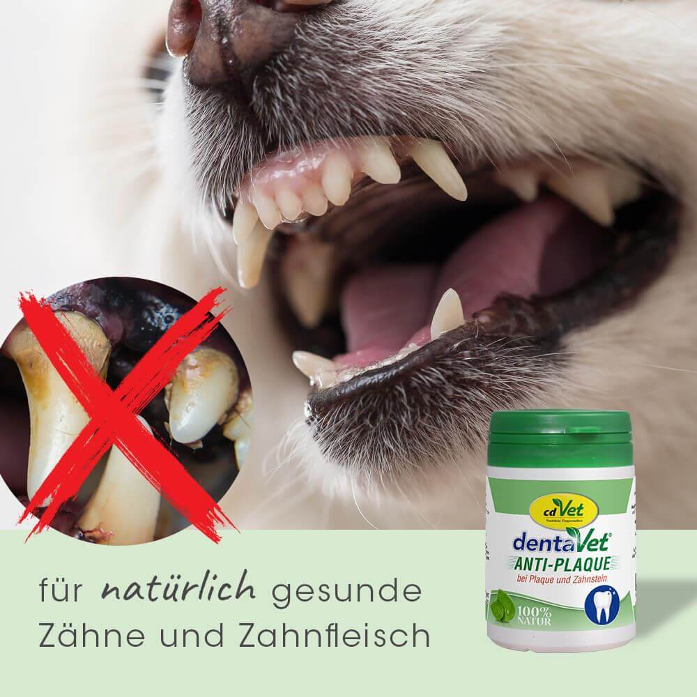 dentaVet Anti-Plaque 50 g