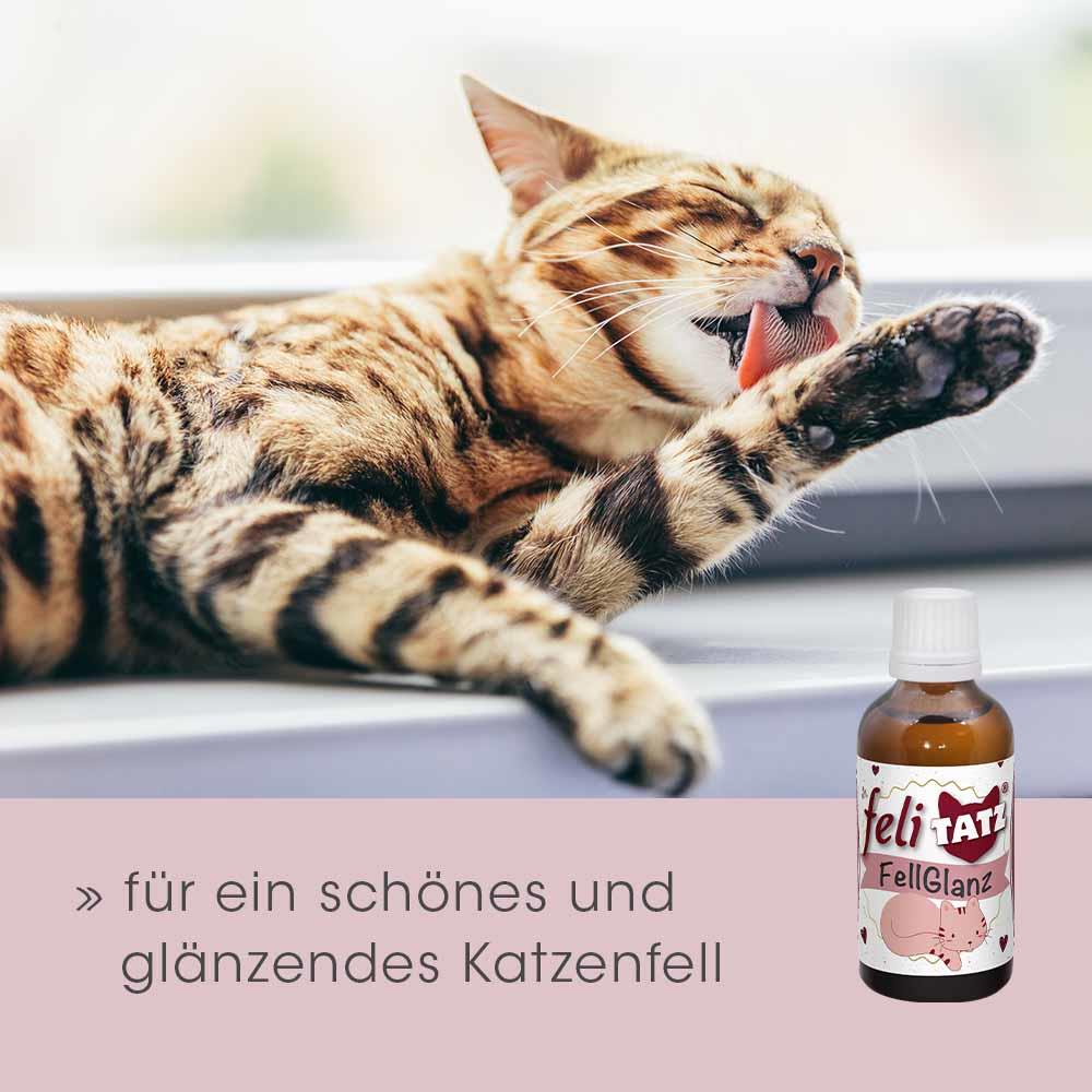 feliTATZ Fur Shine 50 ml