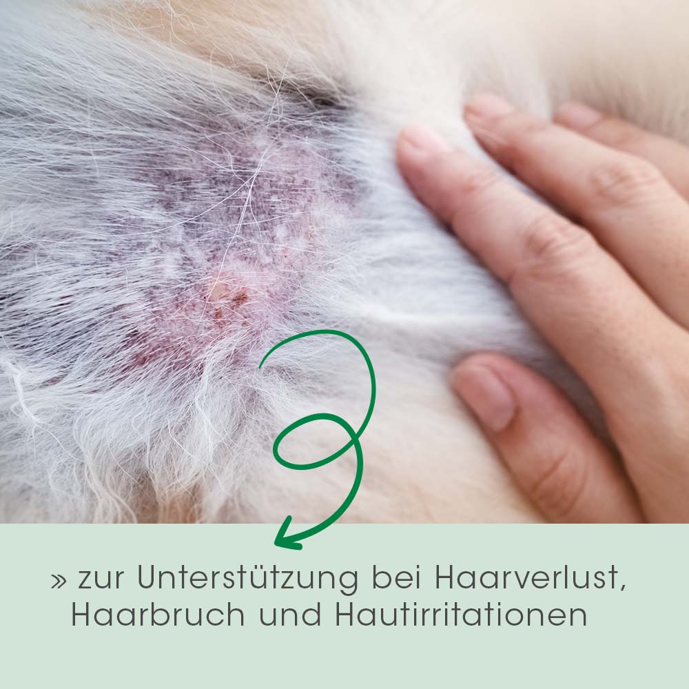 Coat & Skin Vital Dog & Cat 750 g