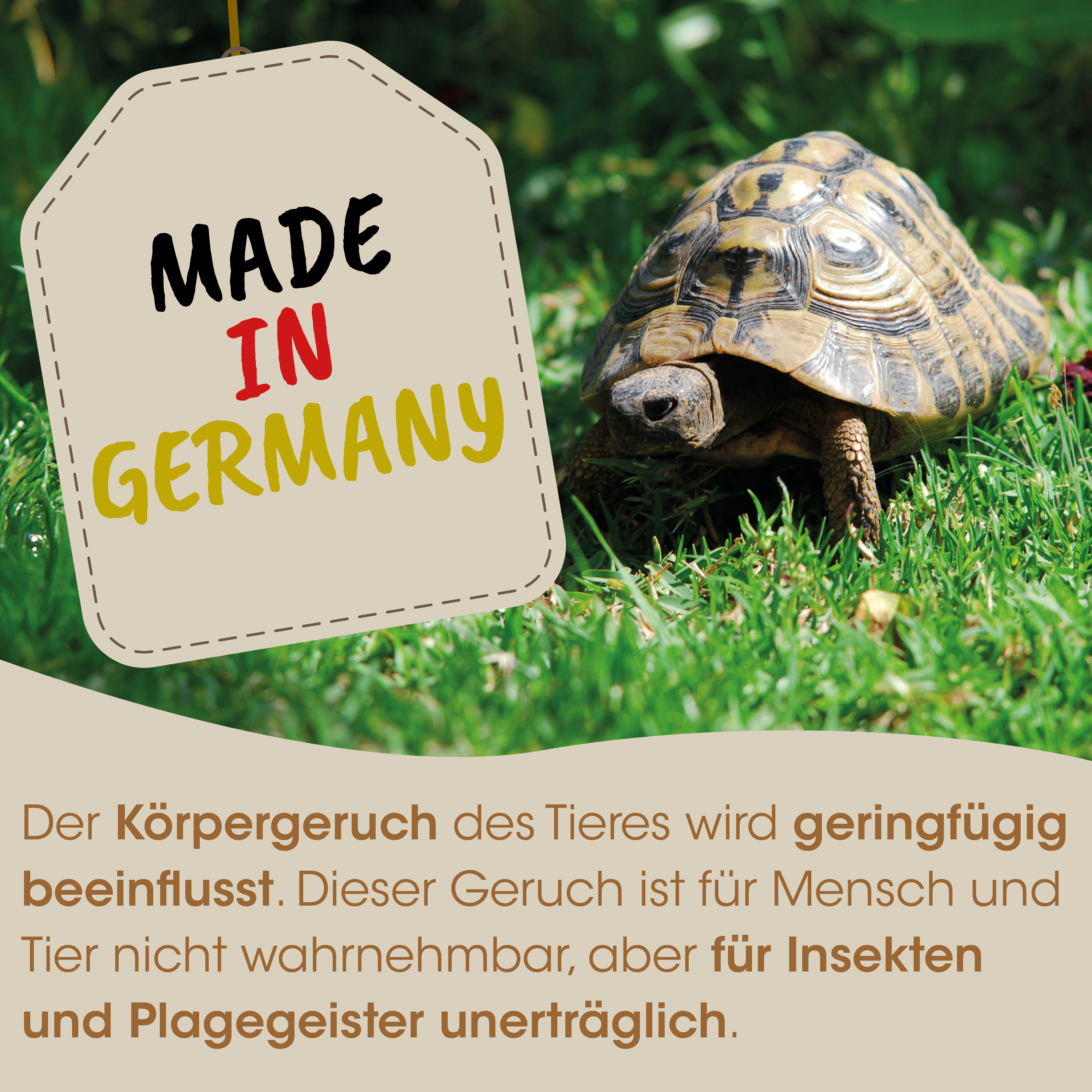 Schildkröte, Schildkröte (Panzer), Haustier, Gras, Made in Germany