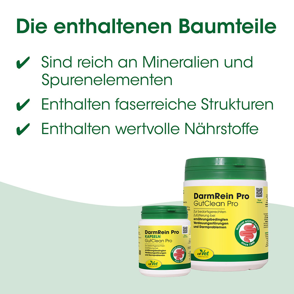 Darmrein Pro, Kapseln, GutClean Pro, Darmgesundheit, Nahrungsergänzung