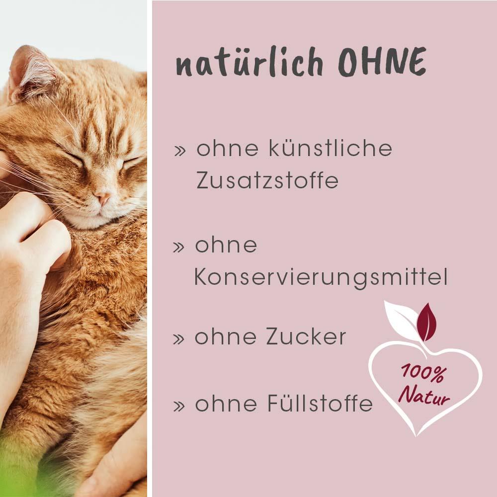 feliTATZ GutRegulator 50 g