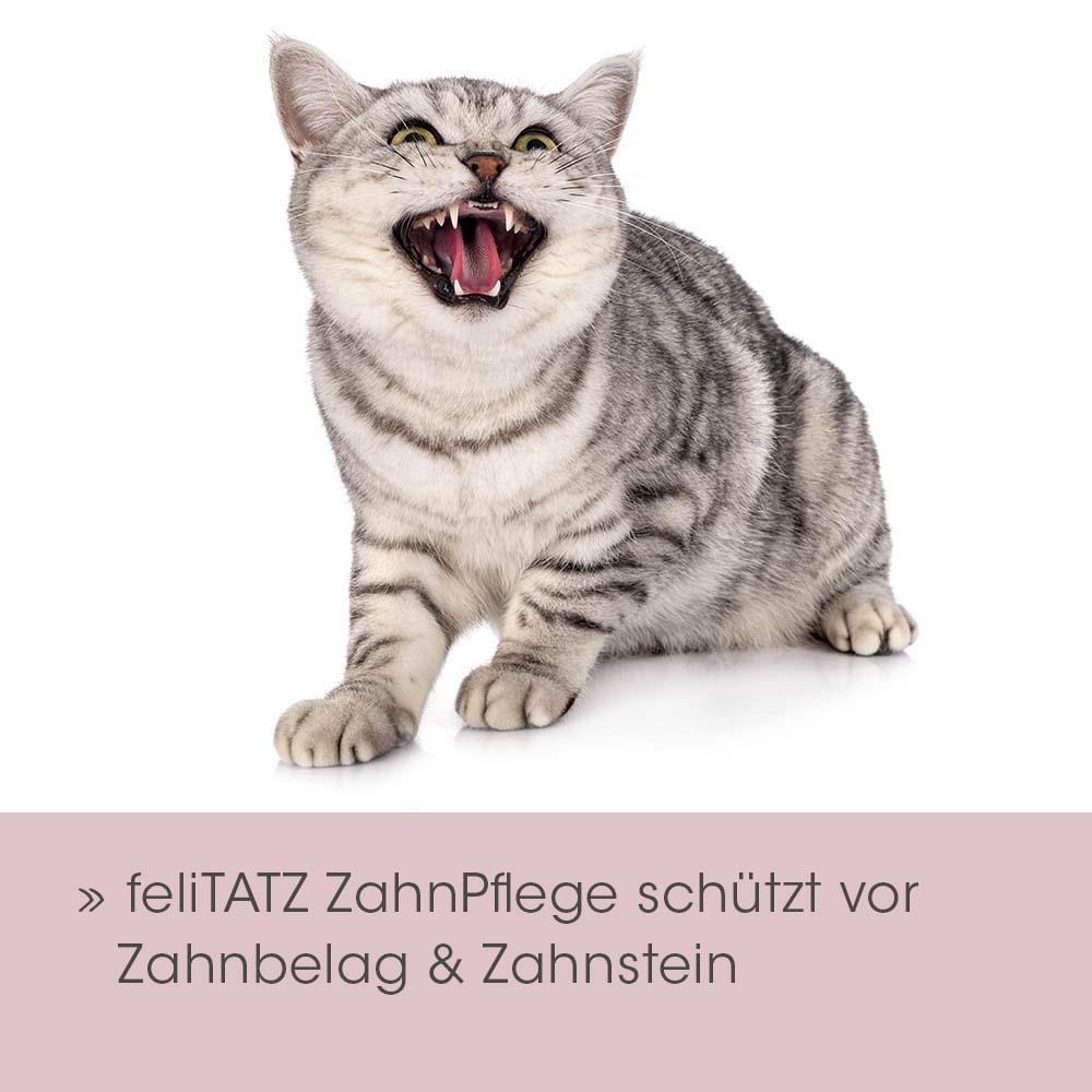 feliTATZ dental care 20ml
