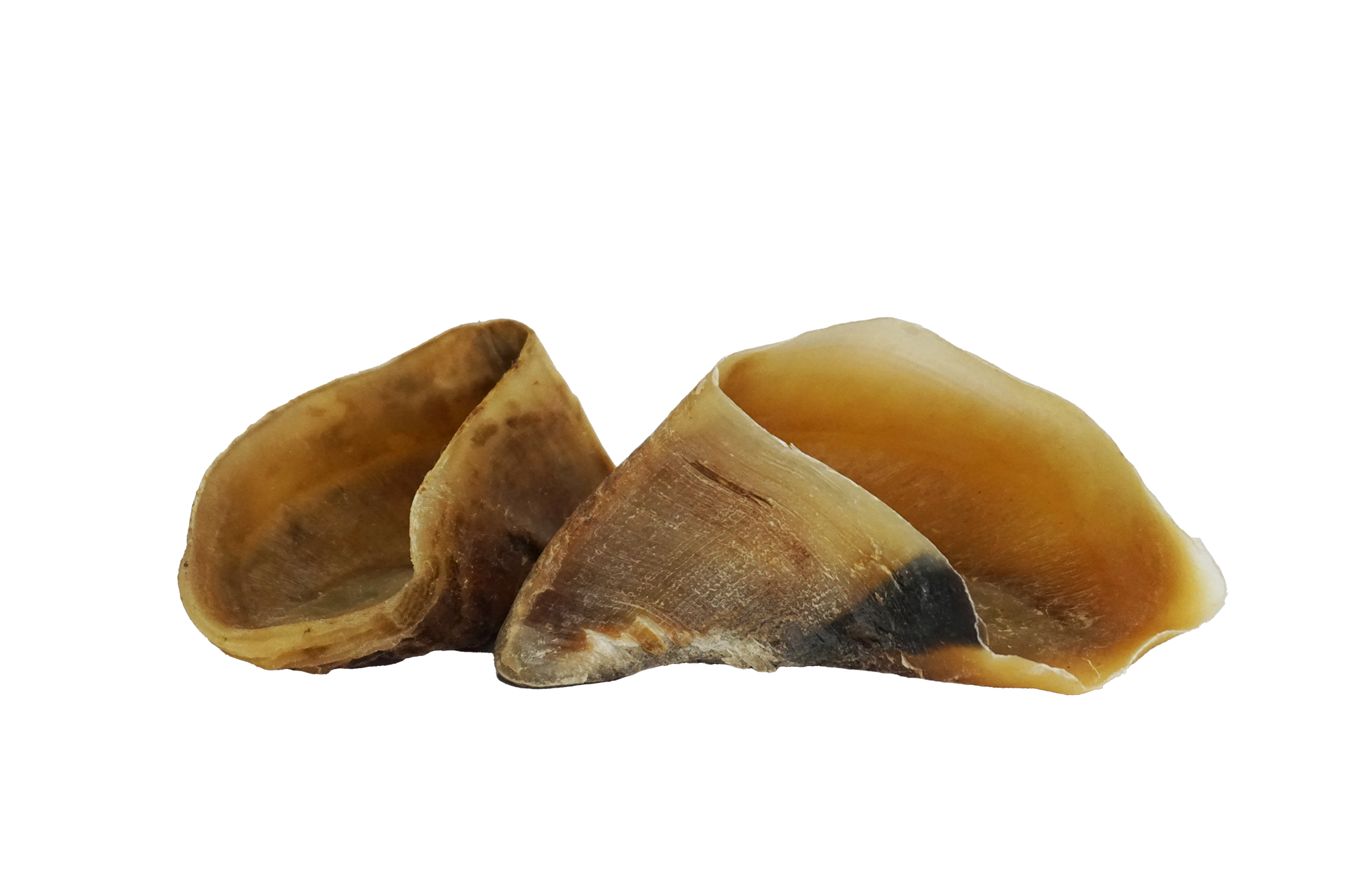 Fit-Hap Cattle Hooves (5 piececs)