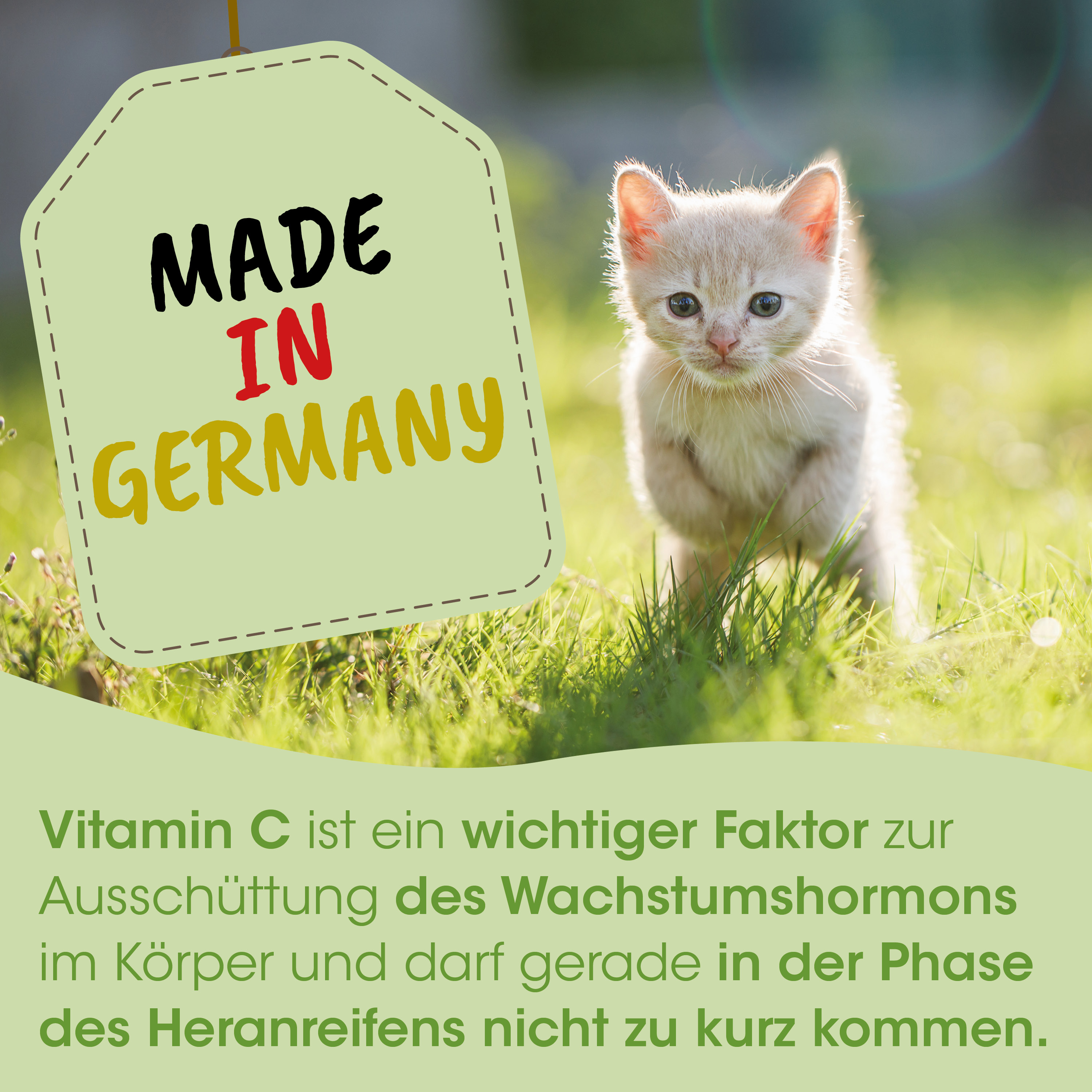 Katzenbaby, Kätzchen, Katzenfell, Pastellgrün, Made in Germany