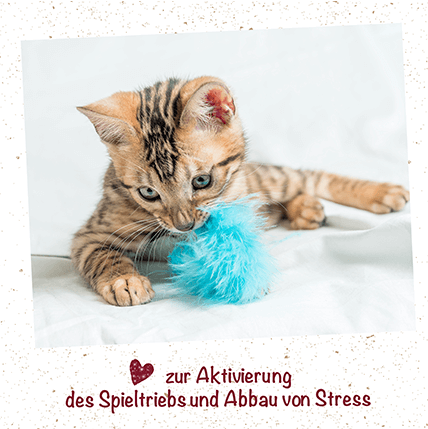 feliTATZ Catnip Spray 50 ml