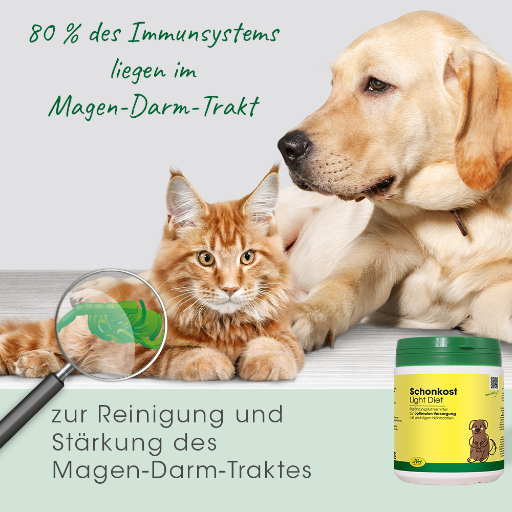 Light Diet 350 g