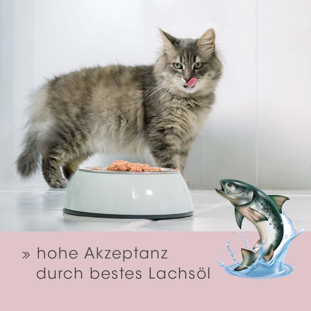 feliTATZ Fur Shine 50 ml