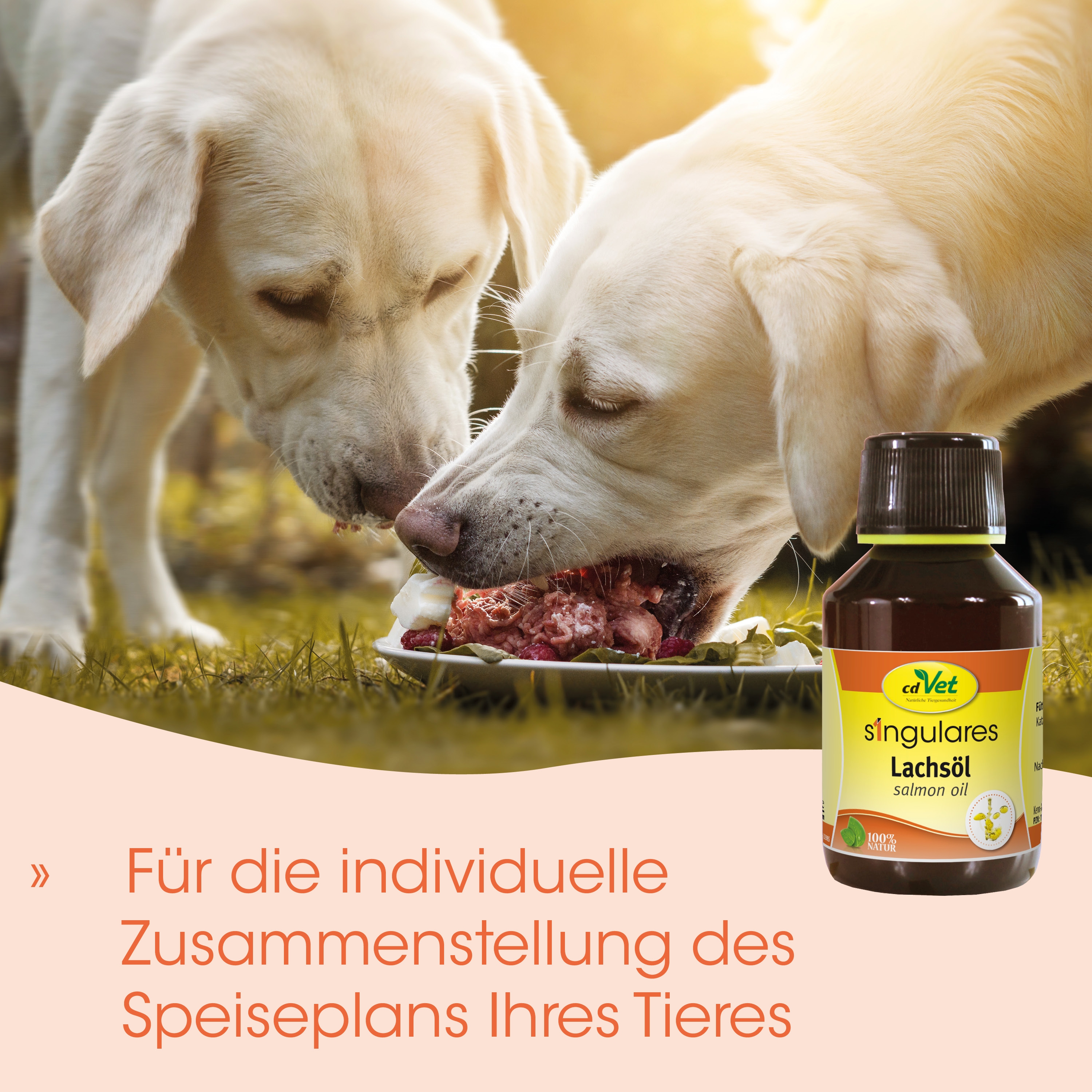 Hunde futter, Lachsöl, Tierzusatz, Flasche, Frische Mahlzeit Platte