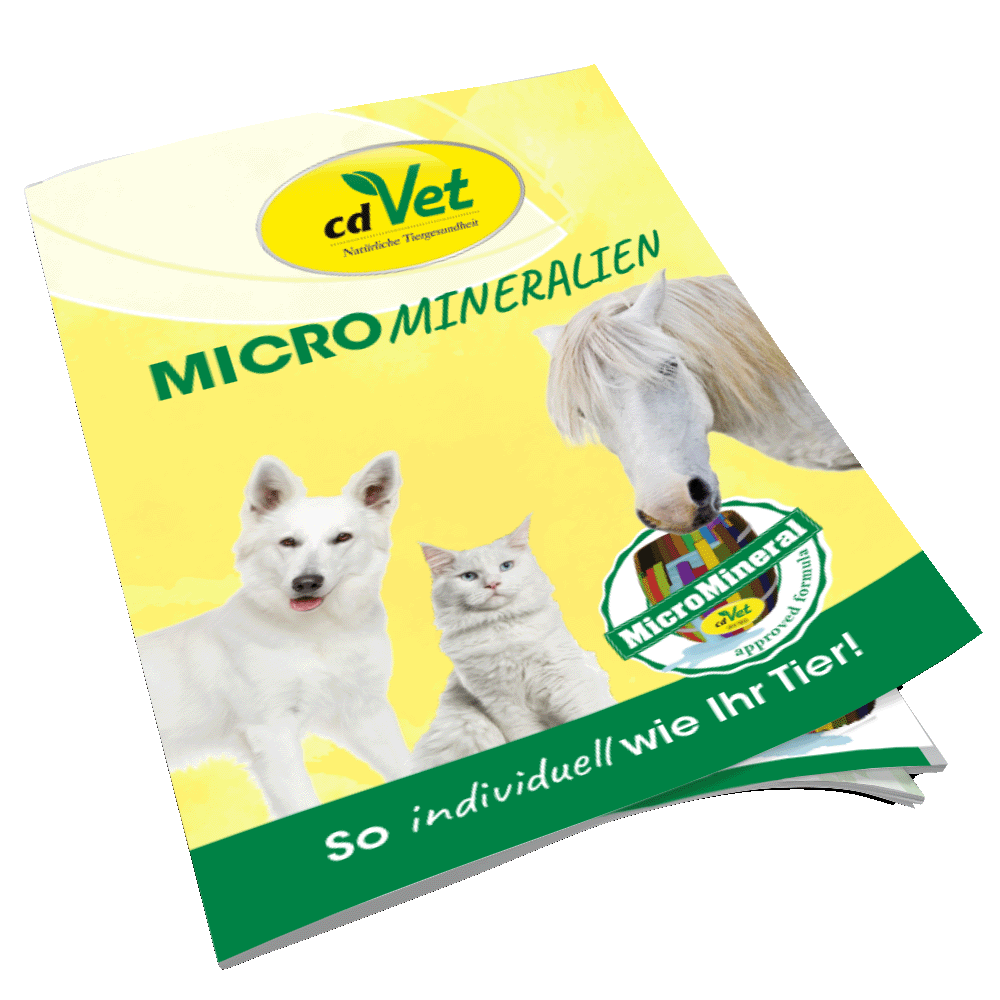 Broschüre MicroMineral A5