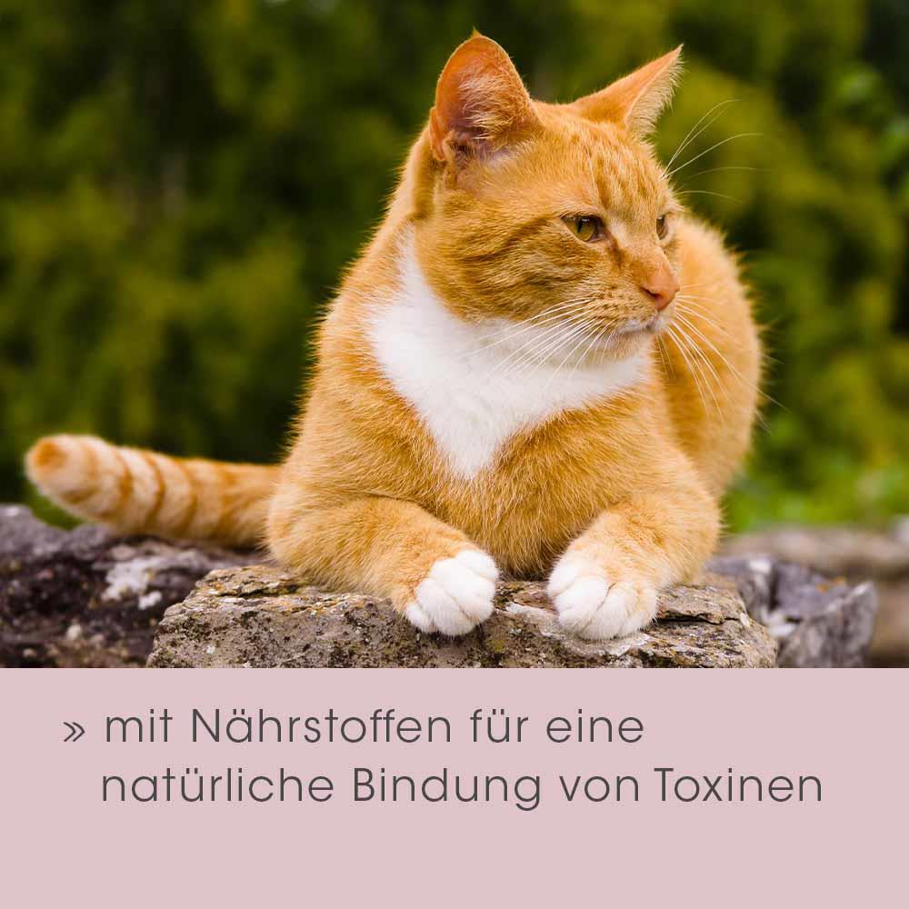 feliTATZ GutRegulator 50 g